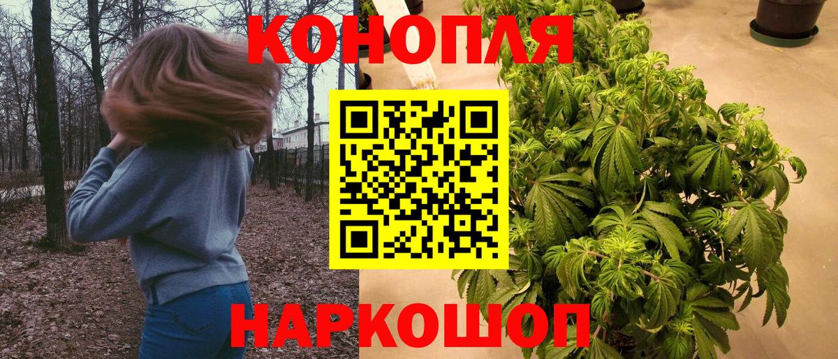 Бошки марихуана конопля Москва